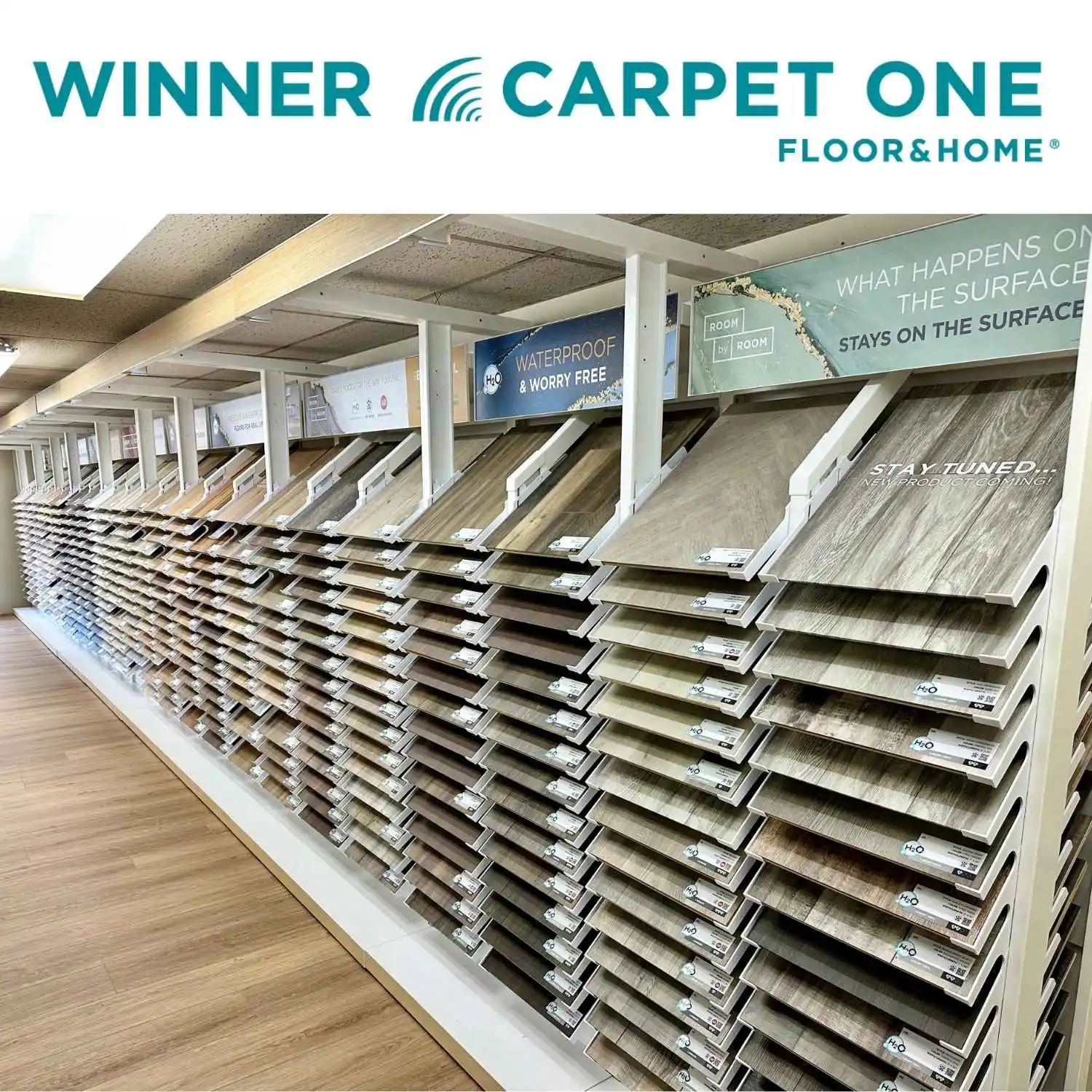 Winner Carpet One Showroom